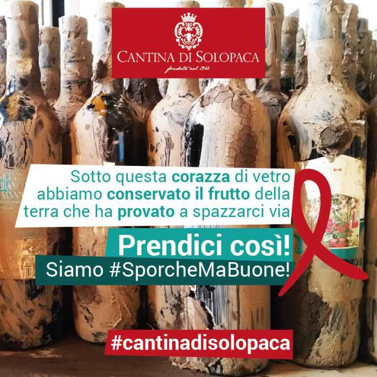 “Prendici così”: l’iniziativa dell’azienda Cantina di Solopaca di Benevento