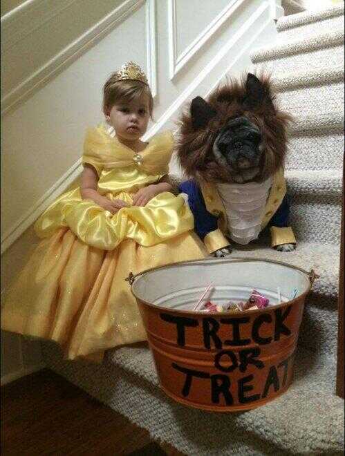 Halloween. Una bimba e il suo cane si travestono e conquistano il web