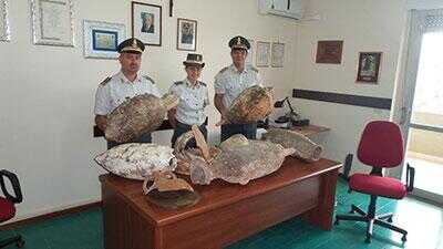 Pompei scavi – Consegnate le due anfore sequestrate a Torre del Greco.