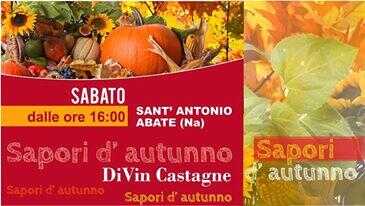 “Sapori d’autunno” nel pomeriggio di Divin Castagne di sabato a Sant’Antonio Abate “Sapori d’autunno” nel pomeriggio di Divin Castagne di sabato a Sant’Antonio Abate
