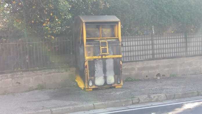 10592747_10205845589762035_4248725120904897944_n