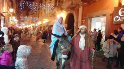 12394534_10206963502720292_816312469_o