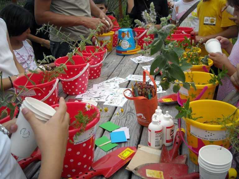 Pellezzano. Orto didattico alla scuola di Via della Quercia