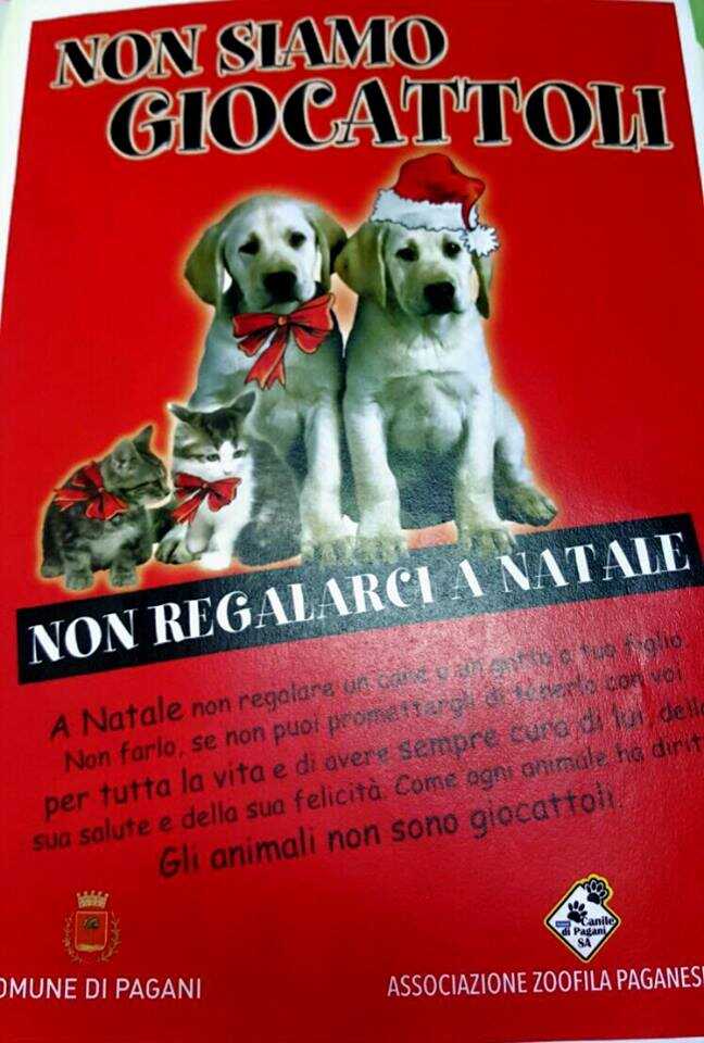 Pagani. Una campagna di sensibilizzazione per un’adozione consapevole degli animali