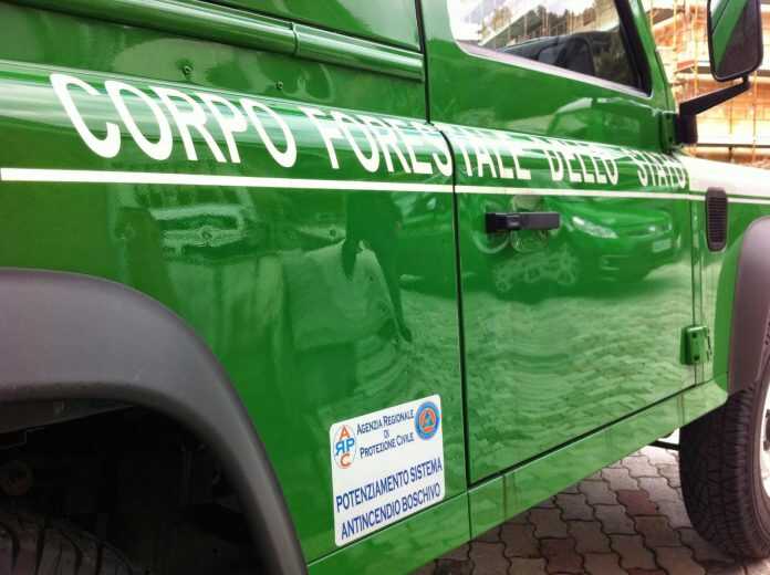 corpo forestale