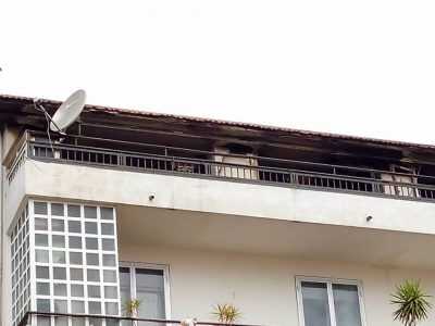 12417711_10205173285761644_2477168007877093364_n