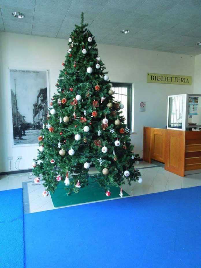 12467880_10208149982497065_1208317366_n