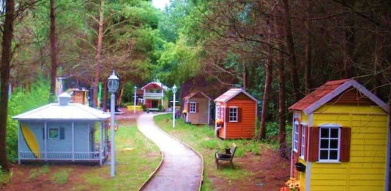 La proposta dell’AIDAA: cucce pubbliche per i cani randagi