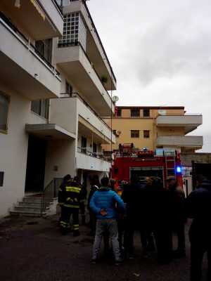 1935478_10205173285961649_4840381364151298298_n