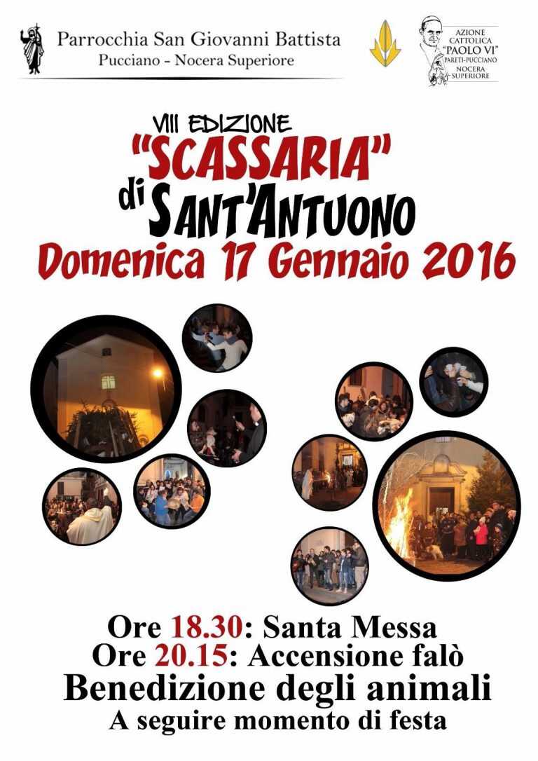 Nocera Superiore. “Scassaria di Sant’Antonio e benedizione degli animali”