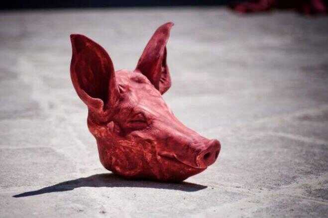 Testa di maiale davanti la casa dell’imprenditore che nel 2010 denunciò i suoi estorsori