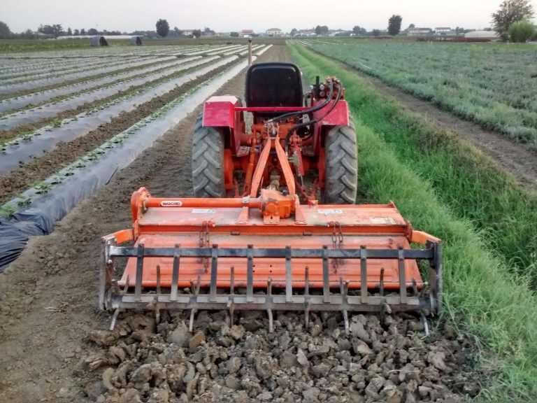 Resta incastrato nella fresa del trattore: agricoltore 74enne muore trancianto