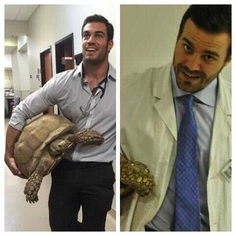 Dottor California? L’Italia preferisce il veterinario romano