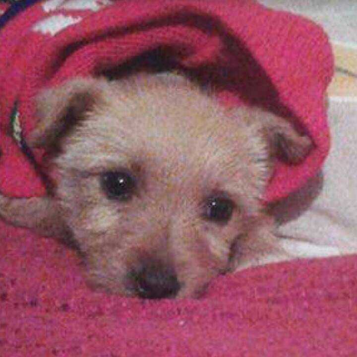 Un aiuto per Masha. E’ stata raggiunta la cifra per l’operazione