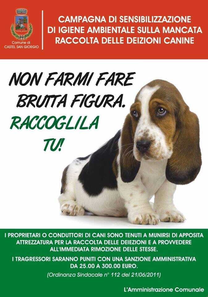 Campagna di sensibilizzazione sulla mancata raccolta delle deiezioni canine