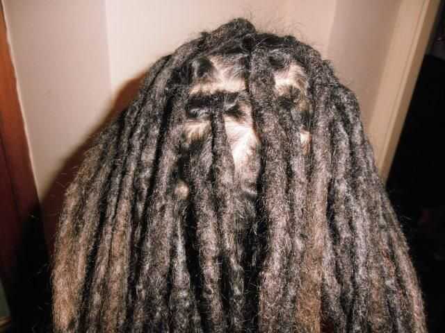 Hashish fra i capelli “rasta”, arrestato diciottenne