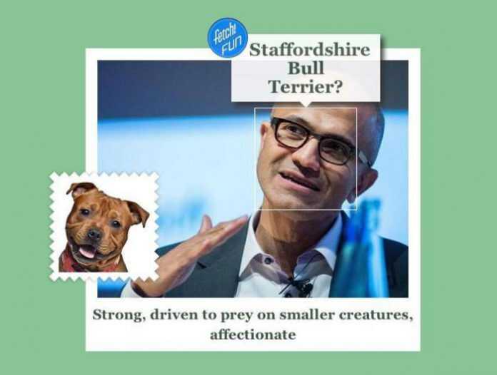 Una app ci dice che razza di cane siamo