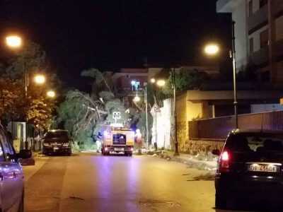 Via Trento Tortora maltempo 28 febb