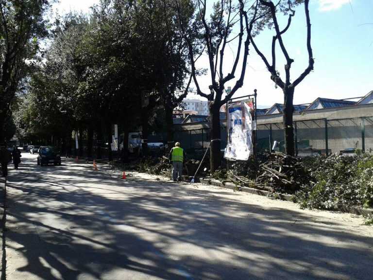 Angri, progetti per la salvaguardia del verde cittadino