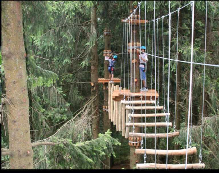 Affidata a privati la gestione del Parco Avventura località Monticello