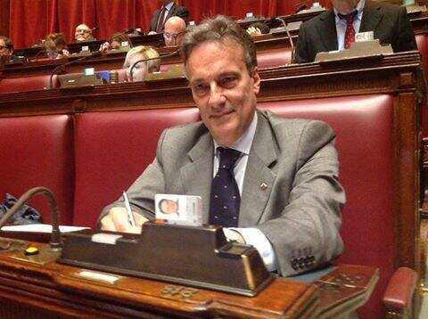 ASL Salerno, affidata a personale specializzato la cattura di animali vaganti