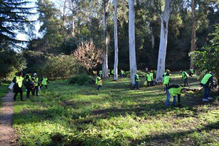 Sarno si colora di verde. 450 alberelli nella zona dell’Autuori