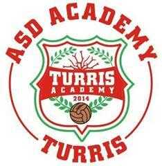 academy turris