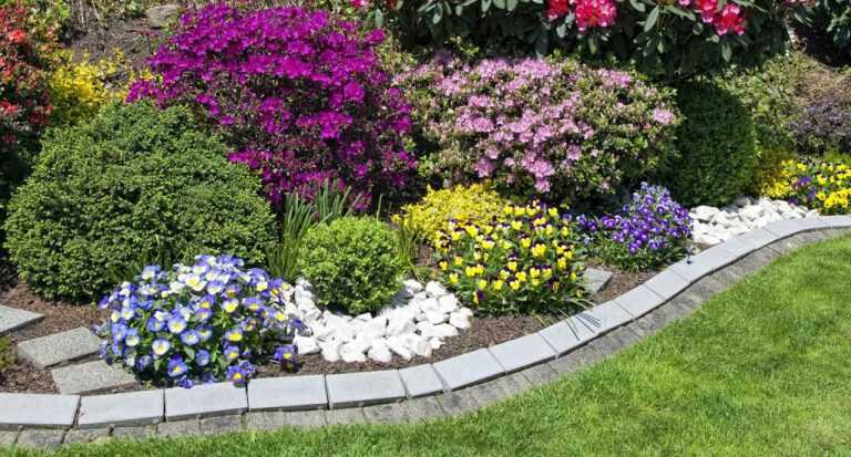 Baronissi in fiore: Al via concorso per i balconi, le aiuole e le vetrine più belle