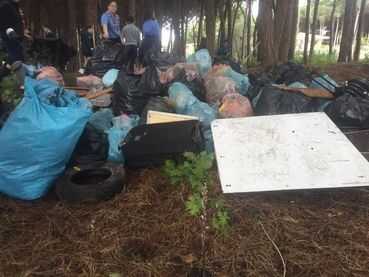 raccolta rifiuti pinete