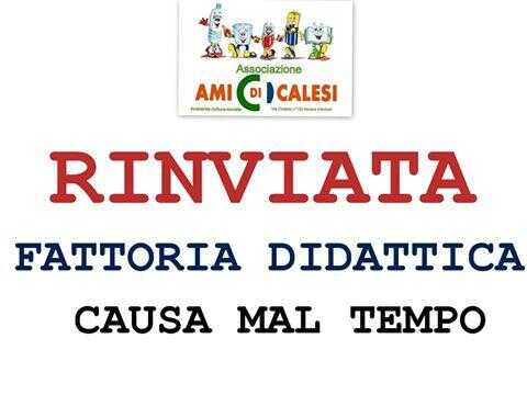 13179240_1207883985890716_9114032521422171937_n