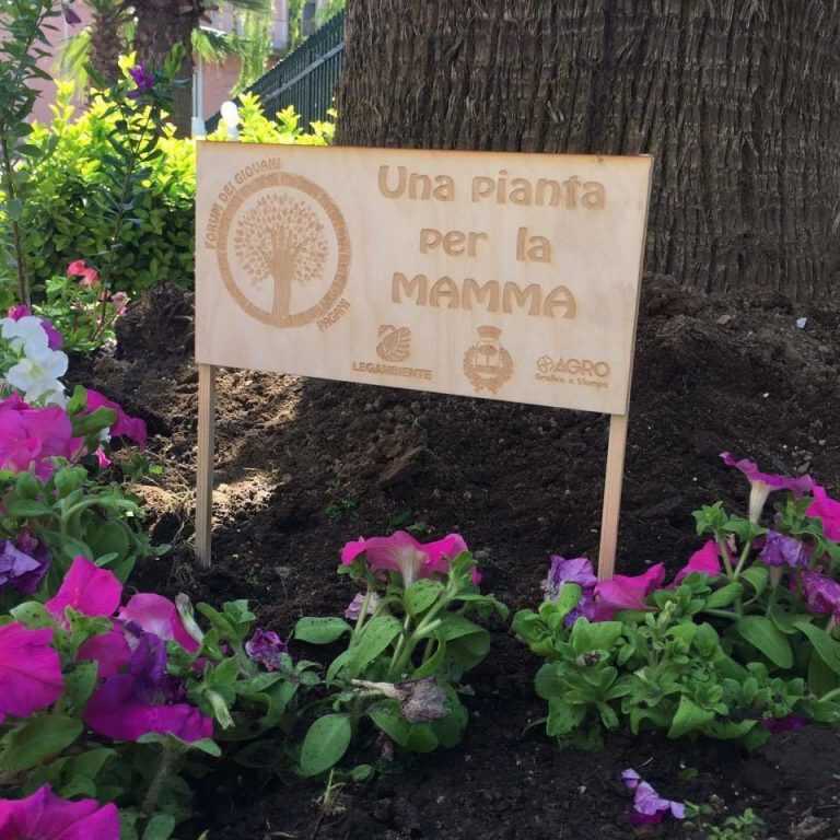 “Una pianta per la mamma”, nuovo successo per il Forum dei Giovani
