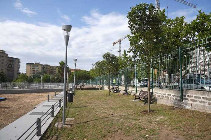 13407262_628366463985432_628483139005895612_n