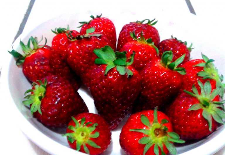 Una Domenica tutta genuina!