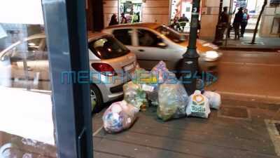 13682513_10154322407443537_164187031_o (Copia)