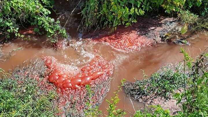 Fosso Imperatore, si sversa anche di giorno; cittadini infuriati