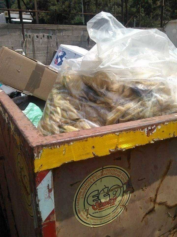 Maiori, allarme ambientale in zona Demanio