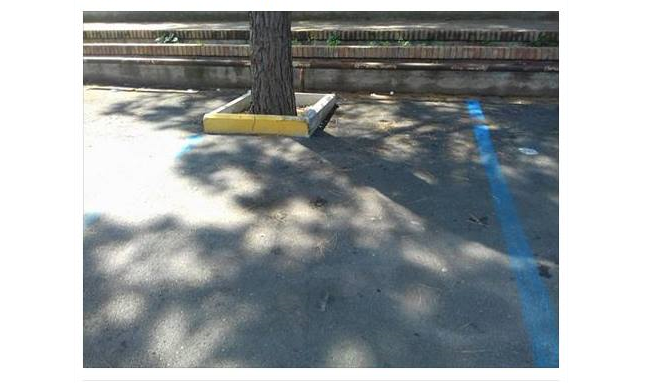 Nocera, via Napoli: albero occupa parcheggio