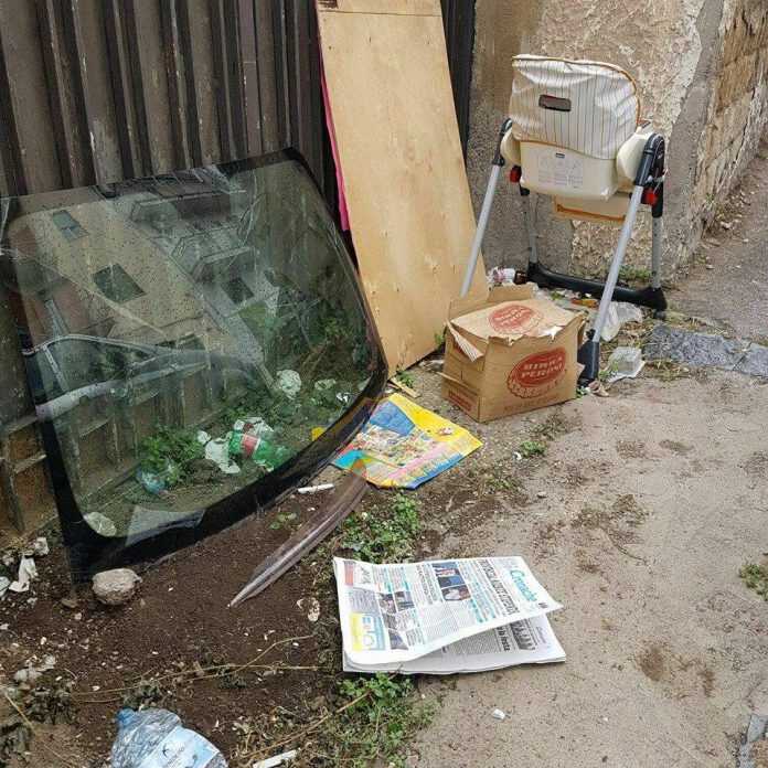 14232616_10208906072200455_4663217840912816116_n