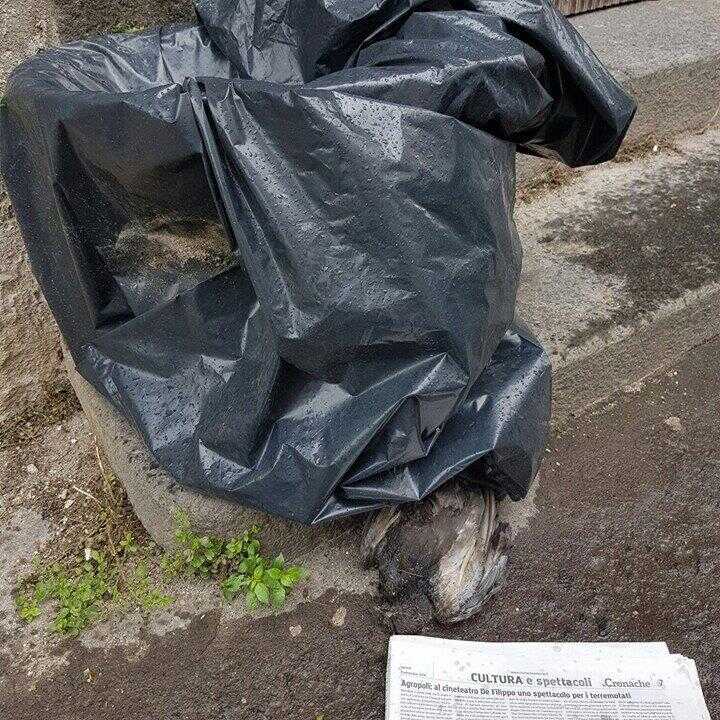 Pagani, carcasse di animali vicino alle scuole, mamme infuriate