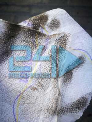 14408806_10154522933753537_1634927225_n