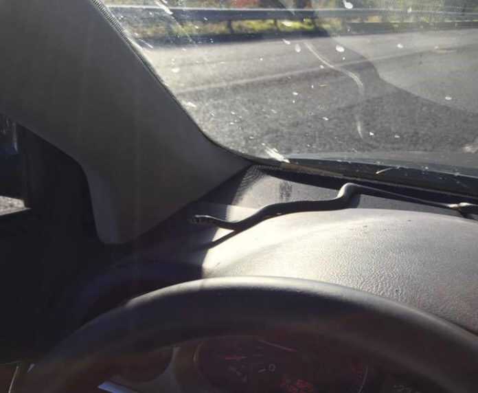 14469259_10210276155930072_575557316_n