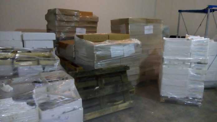 sequestro-pesce-scaduto