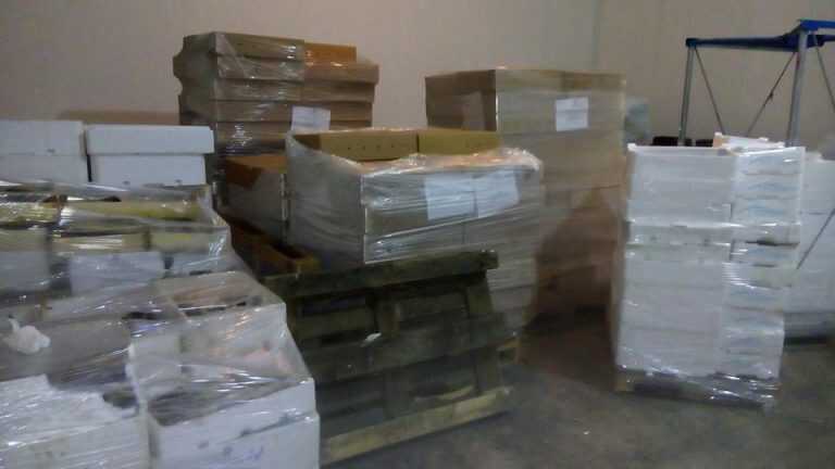 Operazione Guardia Costiera: sequestrati 600 chili di pesce scaduto