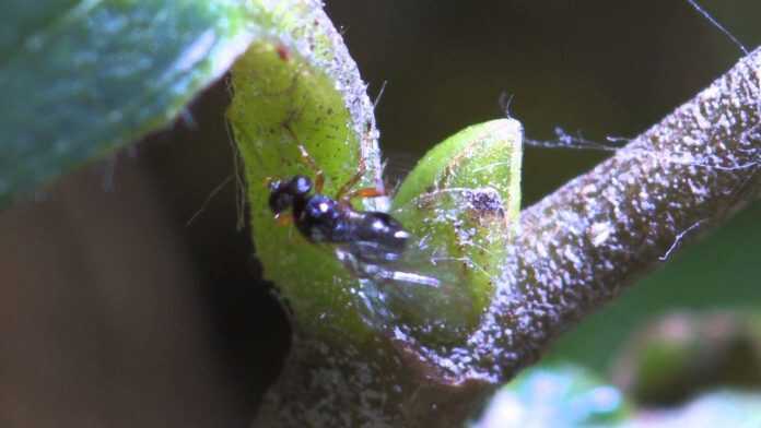 14689858_10207764533811173_1303456350_o