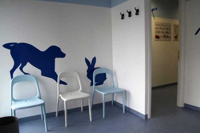 ambulatorio-veterinario