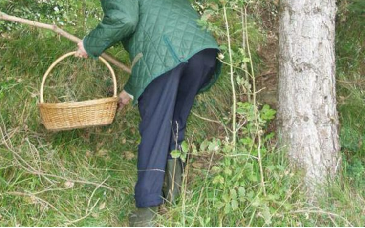 Cava-Eboli, cercatore di funghi rischia di morire dissanguato