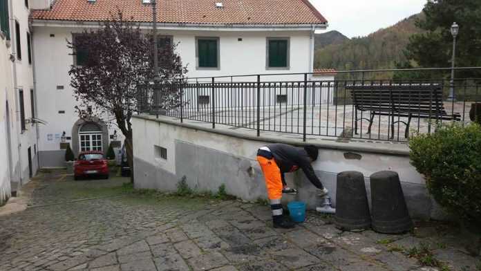 14993471_1790613474496776_7977018634852720129_n