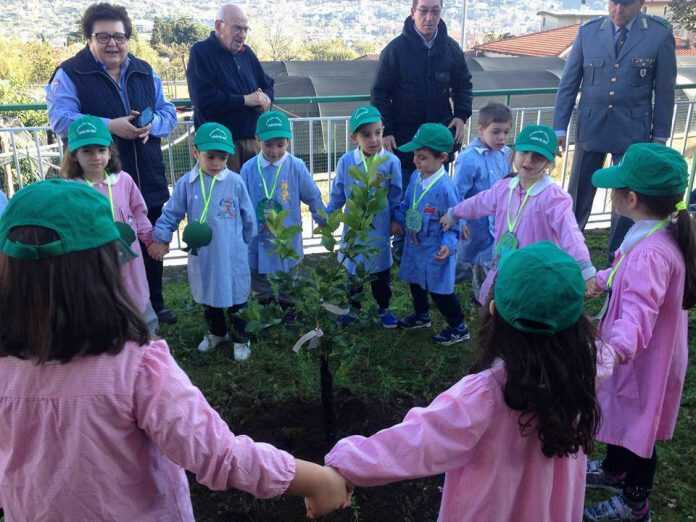 15073450_1793722594185864_3400753582346644849_n