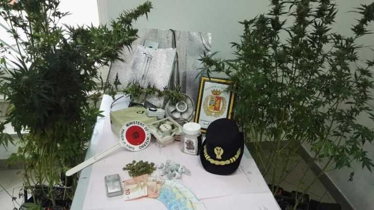 Serra di marijuana in casa: arrestato pregiudicato 51enne