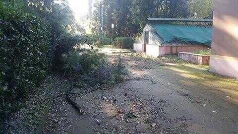 Scafati, i cittadini si attivano per ripulire la villa comunale